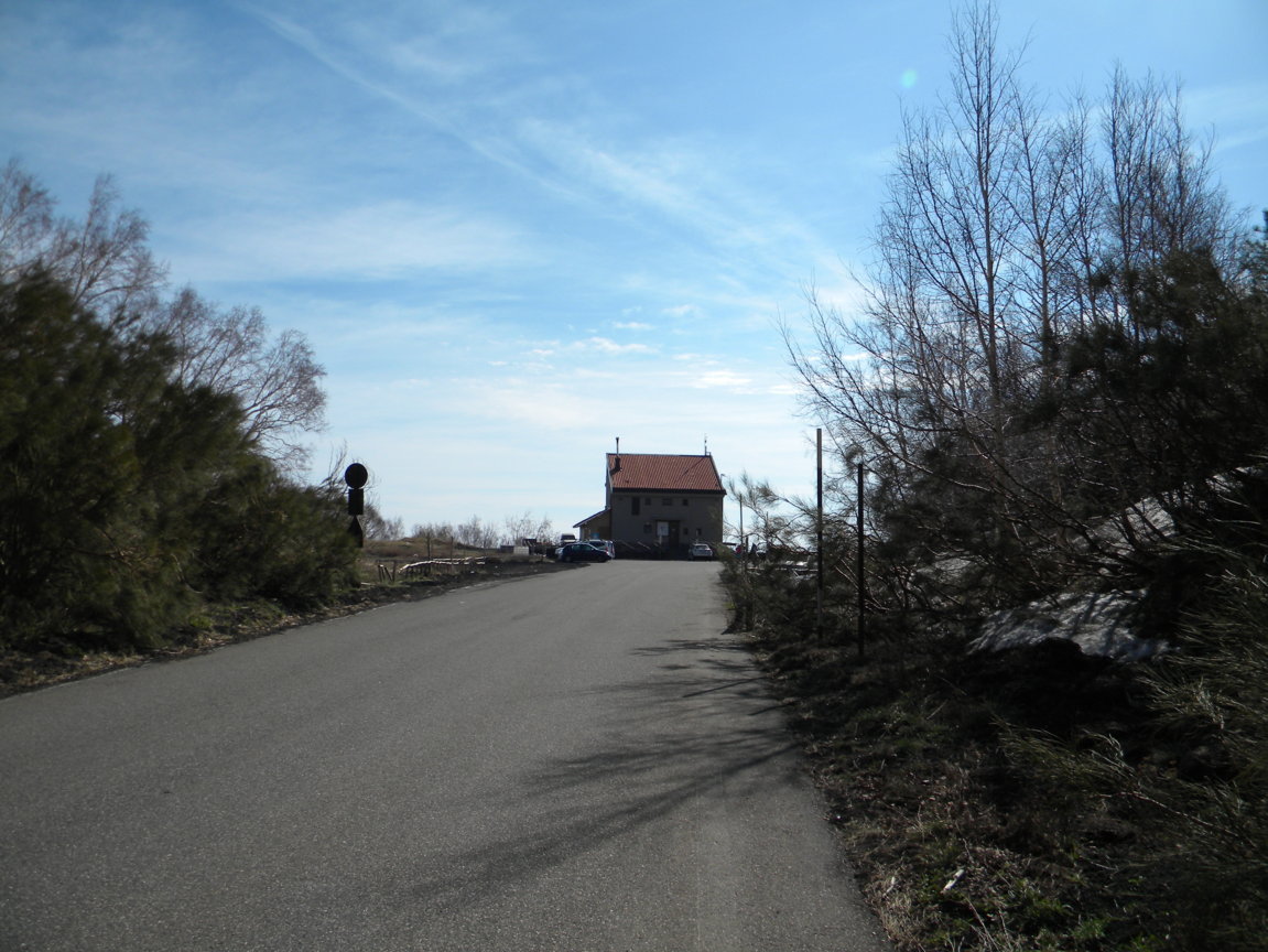 290 .JPG